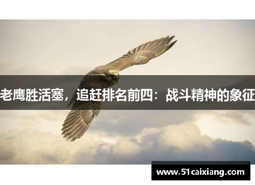 老鹰胜活塞，追赶排名前四：战斗精神的象征