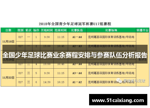 全国少年足球比赛业余赛程安排与参赛队伍分析报告
