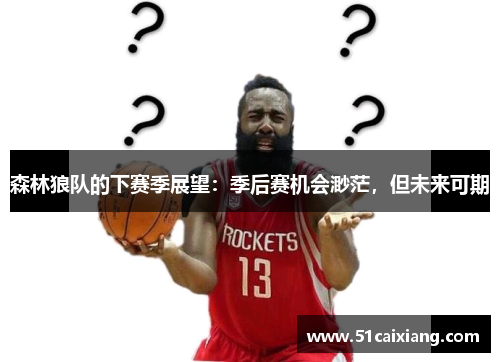 森林狼队的下赛季展望：季后赛机会渺茫，但未来可期